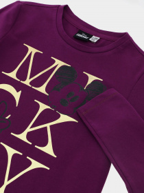 Лонгслив Original Marines модель DCAV3566F_PURPLE. Фото