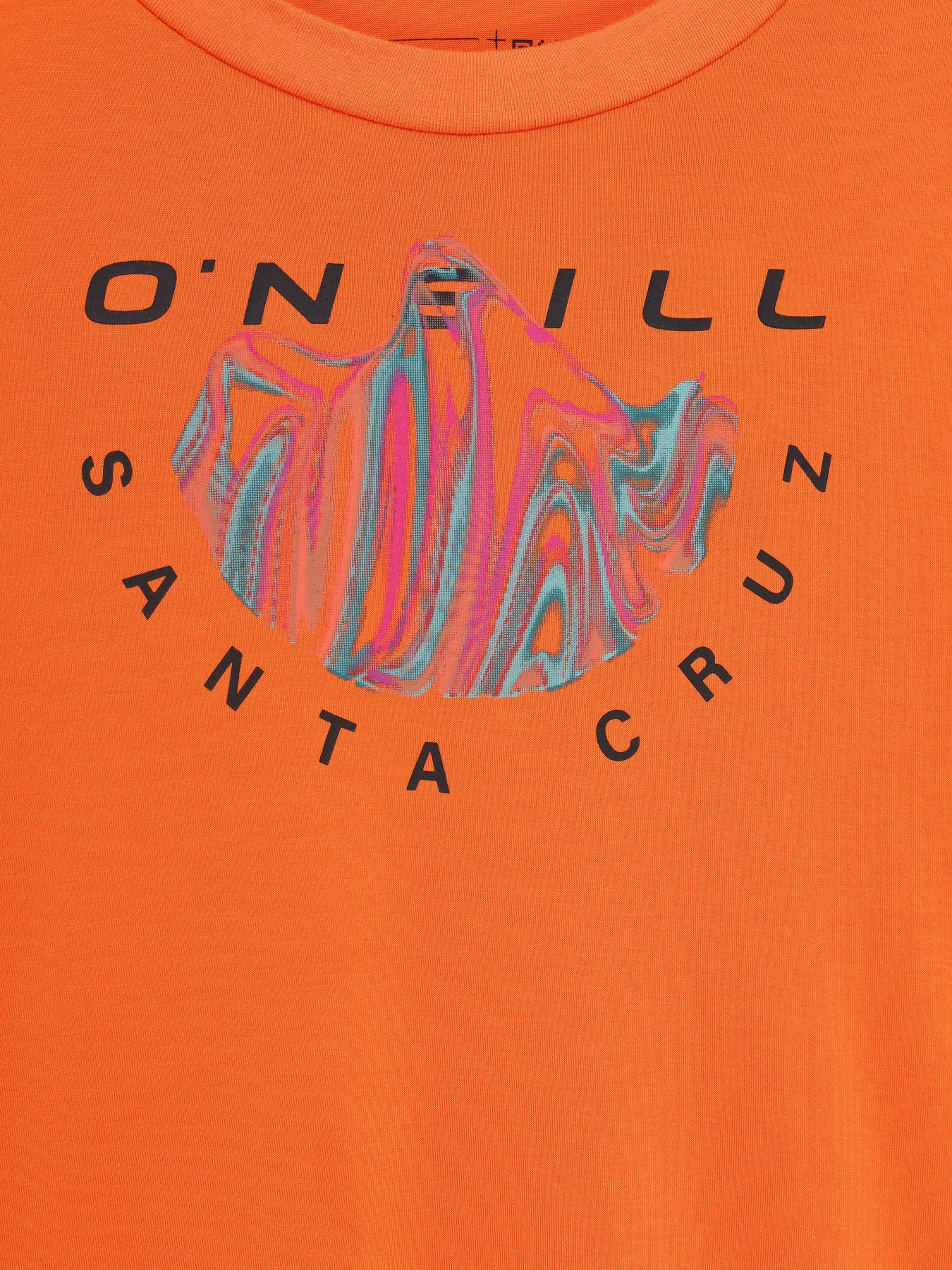 Лонгслів O'Neill модель 1850043_помаранчевий комб. Фото