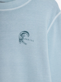 Свитшот O'Neill модель 1P6434_синій Фото