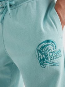 Штаны спортивные O'Neill модель 2550033_с.блакитний Фото