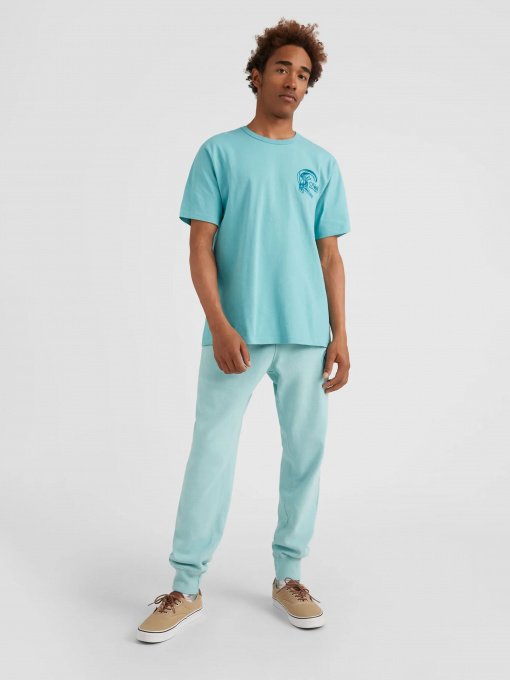 Спортивні штани O'Neill модель 2550033_с.блакитний Фото