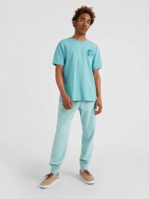 Спортивні штани O'Neill модель 2550033_с.блакитний Фото