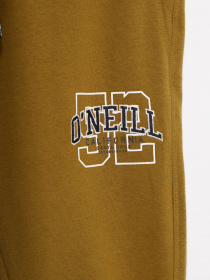 Штаны спортивные O'Neill модель 2550035_гірчичний Фото