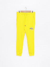 Штаны спортивные O'Neill модель 2550035_жовтий Фото