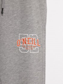 Спортивні штани O'Neill модель 2550035_сірий з помаранчевим Фото