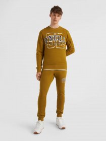 Свитшот O'Neill модель 2750036_гірчичний комб. Фото