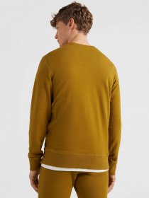 Світшот O'Neill модель 2750036_гірчичний комб. Фото