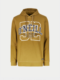 Худи O'Neill модель 2750037_гірчичний комб. Фото