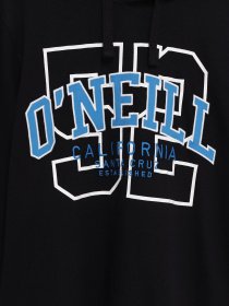 Худи O'Neill модель 2750037_чорний комб. Фото