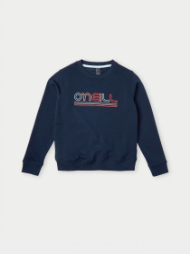 Свитшот O'Neill модель 3750002_т.синій комб. Свитшот O'Neill модель 3750002_т.синій комб. Фото