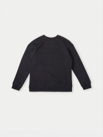 Свитшот O'Neill модель 3750007_чорний комб. Фото