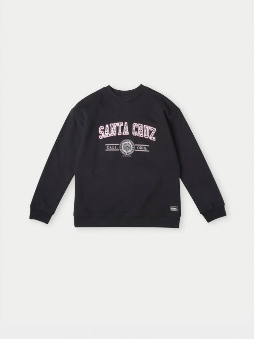 Свитшот O'Neill модель 3750007_чорний комб. Фото