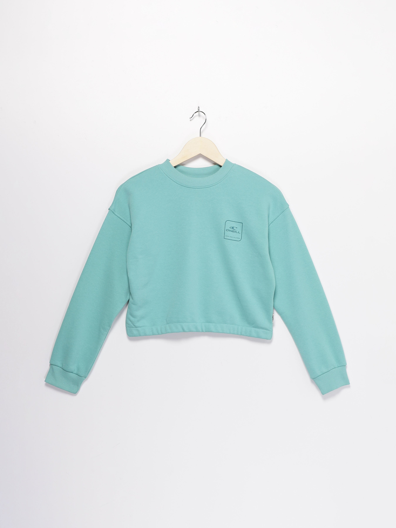 Свитшот O'Neill модель 3750010_с.бірюзовий Фото