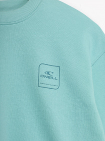 Свитшот O'Neill модель 3750010_с.бірюзовий Фото