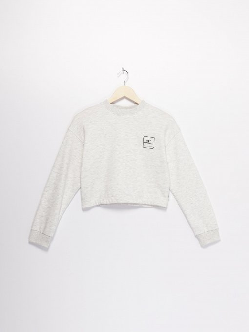 Свитшот O'Neill модель 3750010_с.сірий Фото