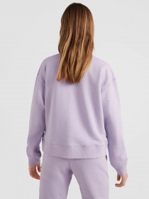 Свитшот O'Neill модель 3750011_с.бузковий комб. Фото