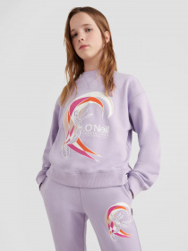 Свитшот O'Neill модель 3750011_с.бузковий комб. Фото