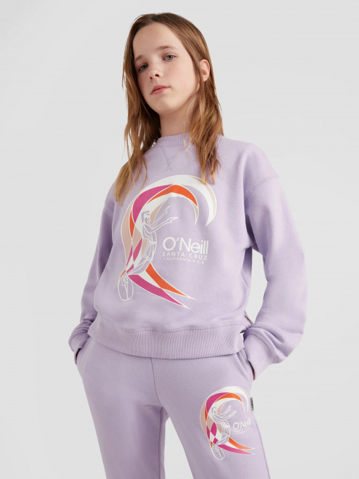 Свитшот O'Neill модель 3750011_с.бузковий комб. Фото