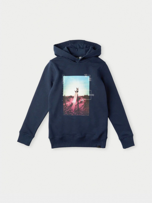 Худи O'Neill модель 4750000_т.синій комб. Фото