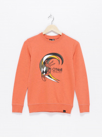 Свитшот O'Neill модель 4750006_помаранчевий комб. Фото