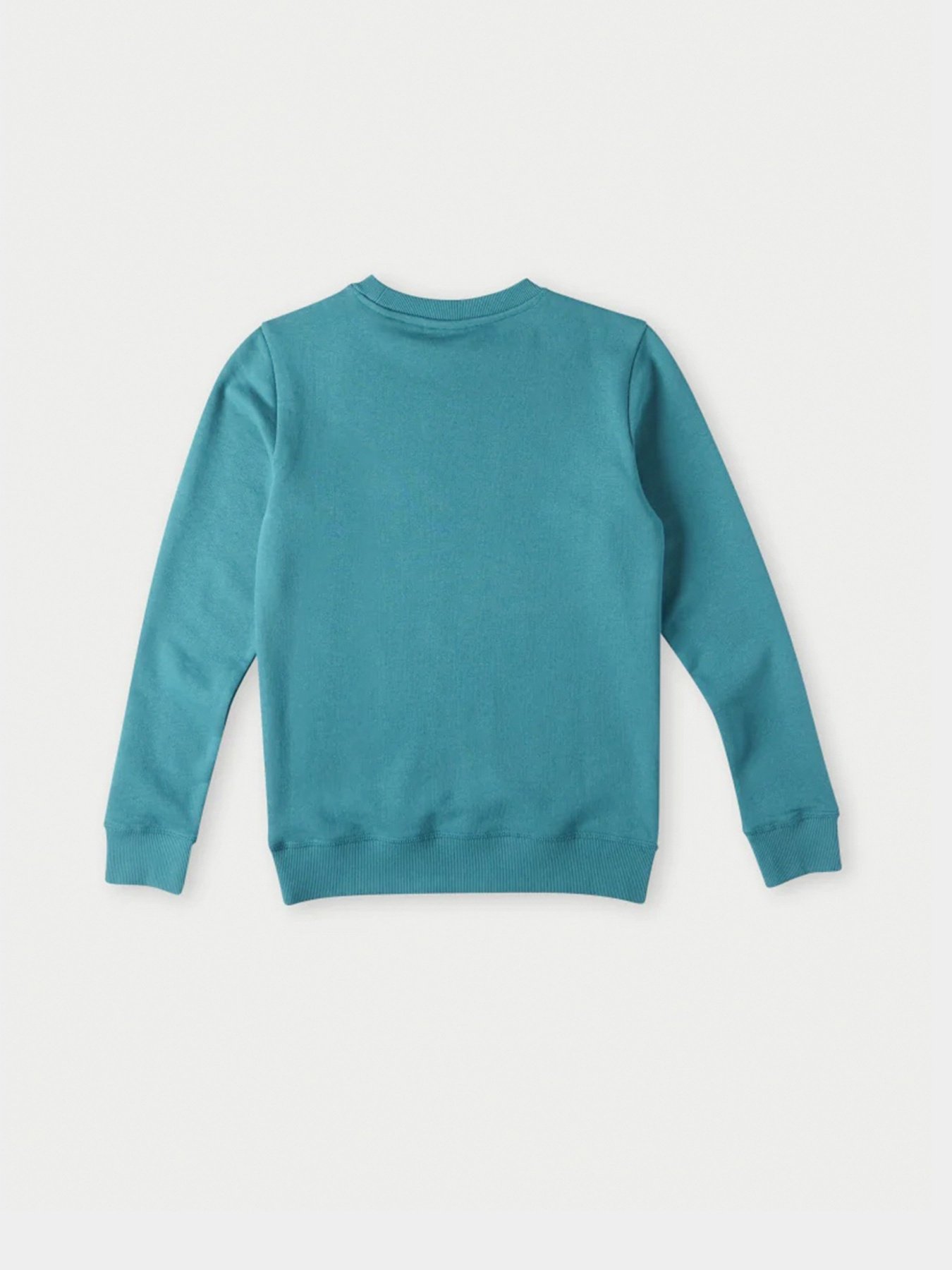 Світшот O'Neill модель 4750014_бірюзовий комб. Фото