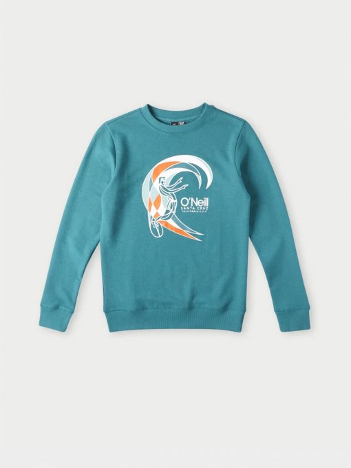 Світшот O'Neill модель 4750014_бірюзовий комб. Фото