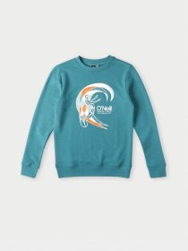 Світшот O'Neill модель 4750014_бірюзовий комб. Фото