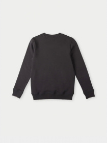 Світшот O'Neill модель 4750014_чорний комб. Фото