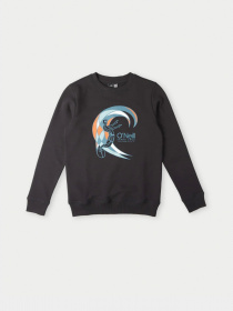 Свитшот O'Neill модель 4750014_чорний комб. Фото