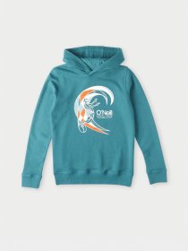 Худи O'Neill модель 4750015_т.бірюзовий комб. Фото