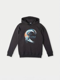 Худі O'Neill модель 4750015_чорний комб. Фото