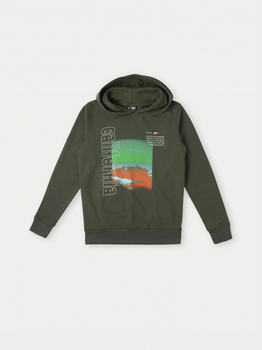 Худи O'Neill модель 4750016_хакі комб. Фото