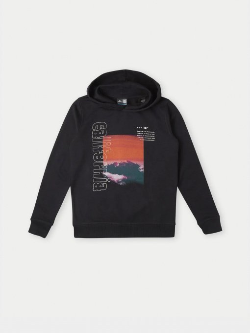 Худи O'Neill модель 4750016_чорний комб. Фото