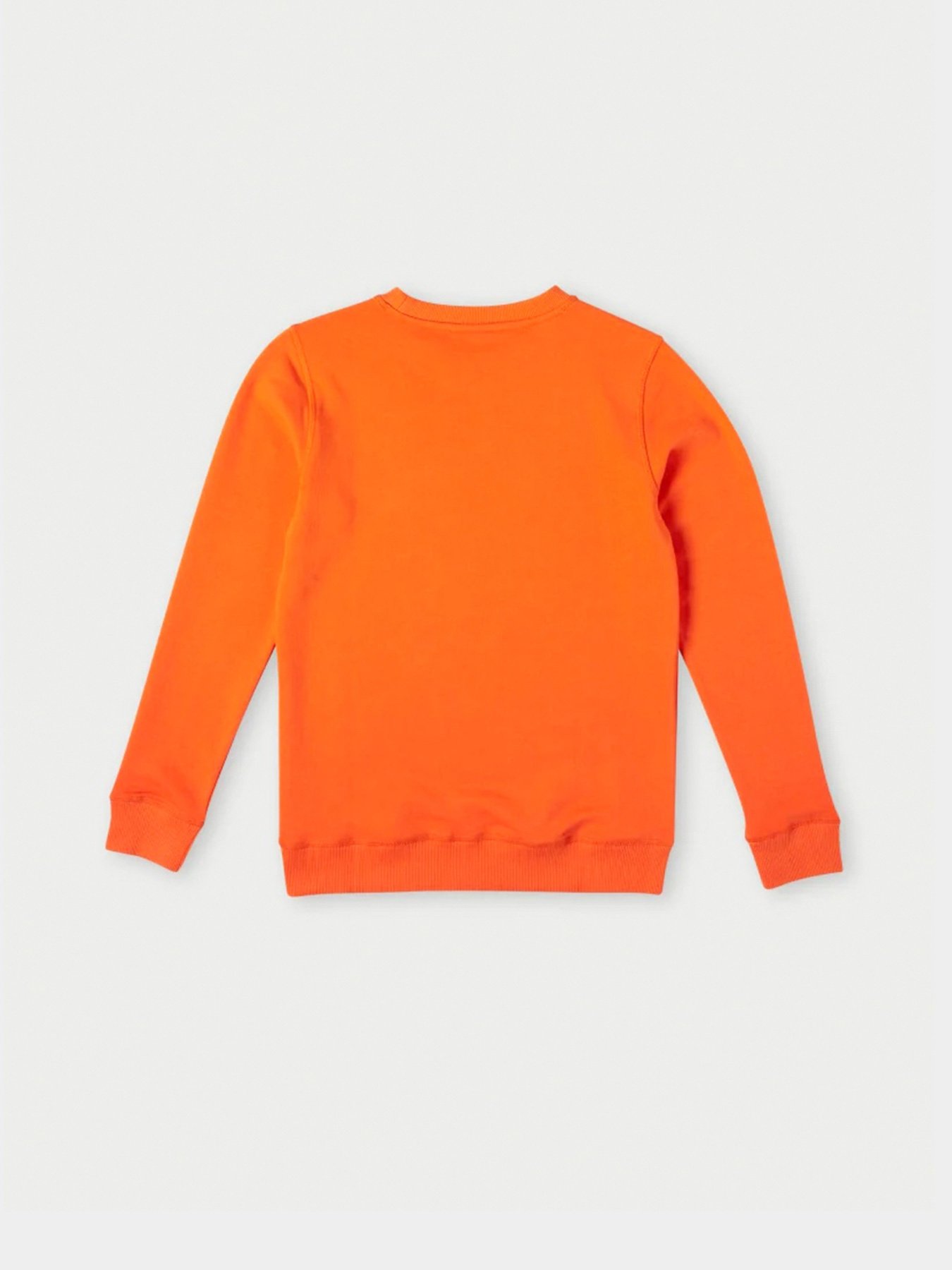 Свитшот O'Neill модель 4750020_помаранчевий комб. Фото