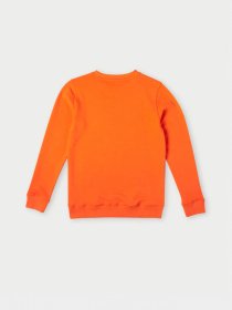 Свитшот O'Neill модель 4750020_помаранчевий комб. Фото