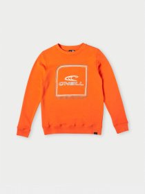 Свитшот O'Neill модель 4750020_помаранчевий комб. Фото