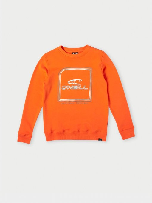 Свитшот O'Neill модель 4750020_помаранчевий комб. Фото