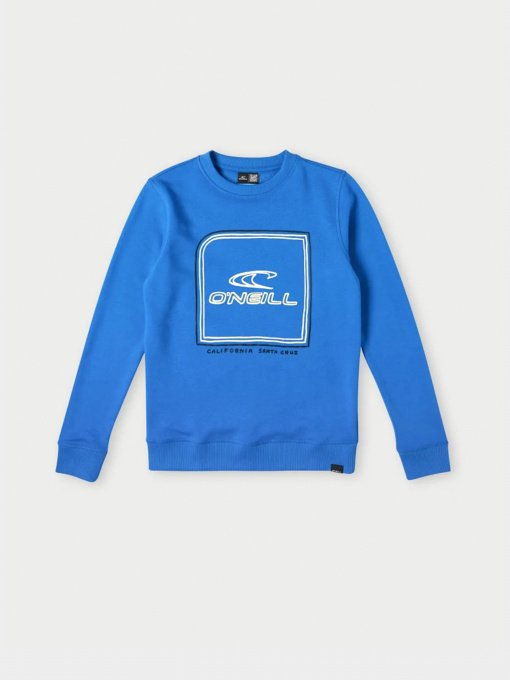 Світшот O'Neill модель 4750020_синій комб. Фото