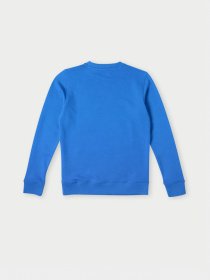 Світшот O'Neill модель 4750020_синій комб. Фото