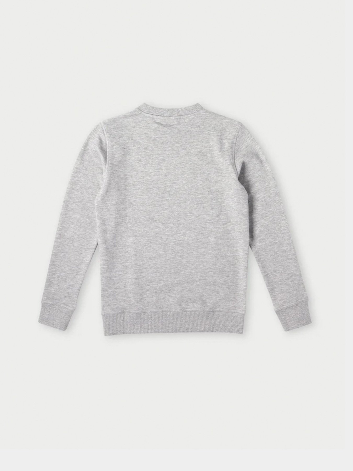 Свитшот O'Neill модель 4750020_сірий комб. Фото