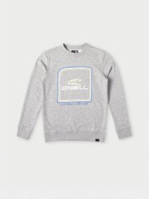 Свитшот O'Neill модель 4750020_сірий комб. Фото