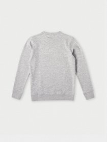 Світшот O'Neill модель 4750020_сірий комб. Фото