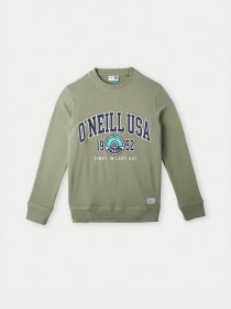 Свитшот O'Neill модель 4750031_хакі комб. Фото