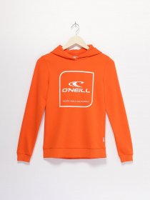 Худи O'Neill модель N06472_помаранчевий комб. Фото