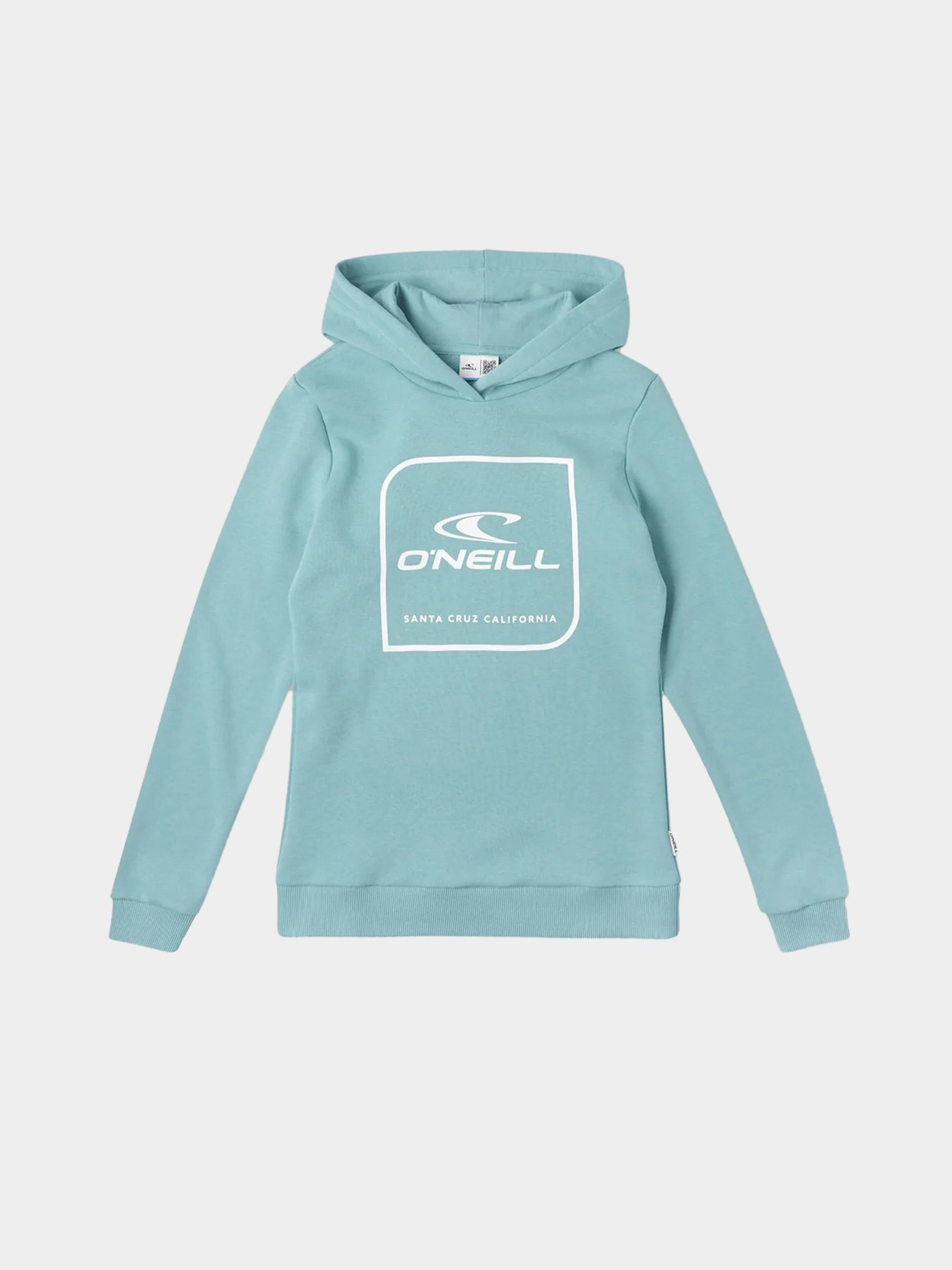 Худи O'Neill модель N06472_с.бірюзовий комб. Фото