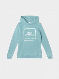 Худи O'Neill модель N06472_с.бірюзовий комб. Фото