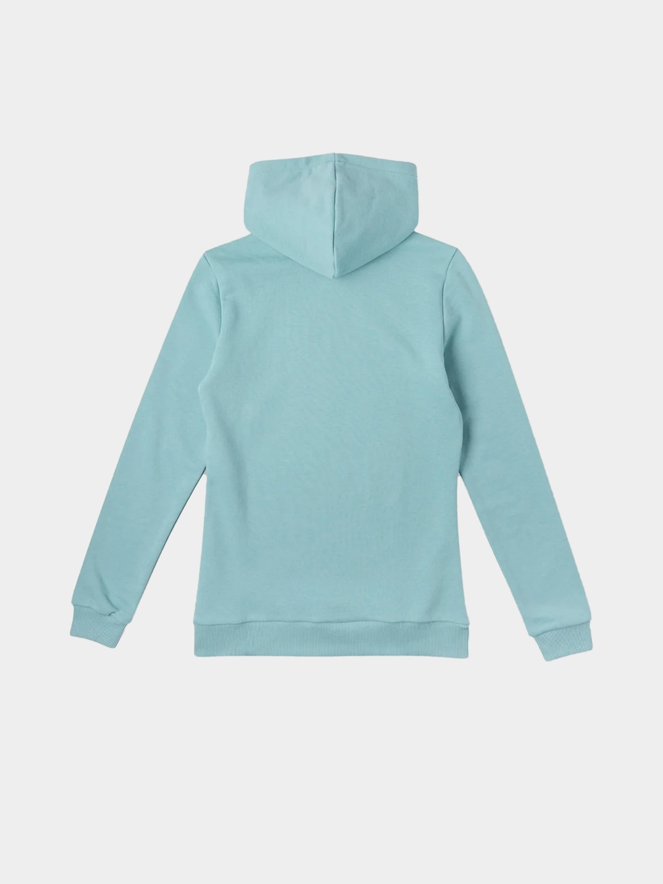 Худі O'Neill модель N06472_с.бірюзовий комб. Фото