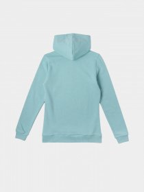 Худі O'Neill модель N06472_с.бірюзовий комб. Фото