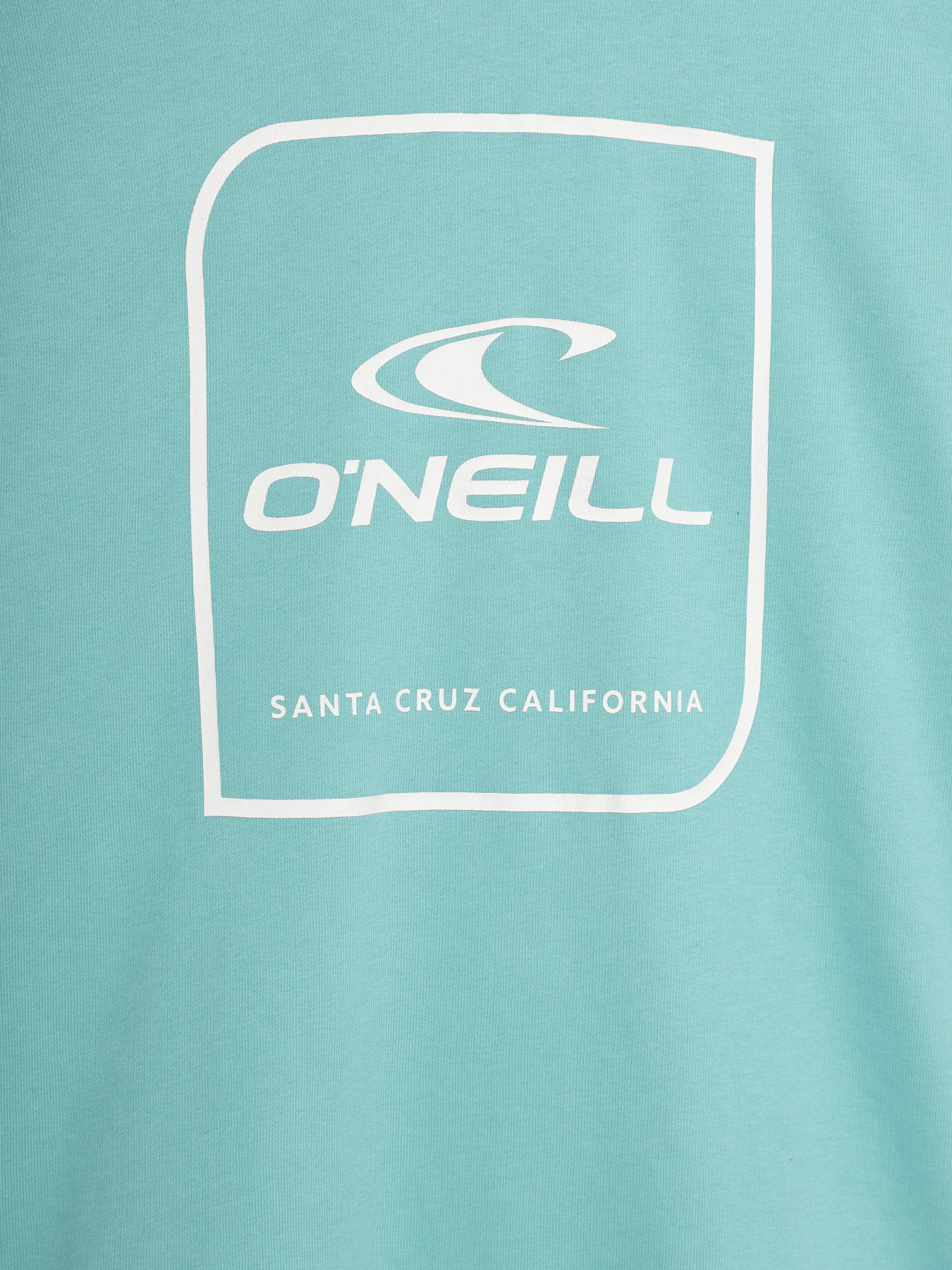 Худі O'Neill модель N064721_с.бірюзовий комб. Фото