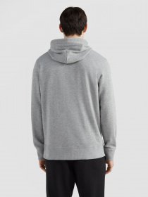 Худи O'Neill модель N2750005_сірий комб. Фото